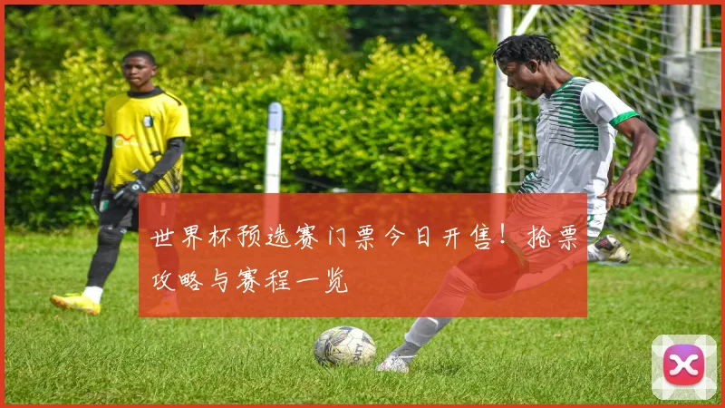 世界杯预选赛门票今日开售！抢票攻略与赛程一览